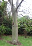 IMG_3760b.jpg