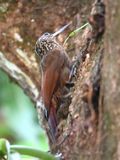DSC_7489b.jpg