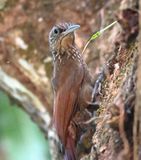 DSC_7490b.jpg