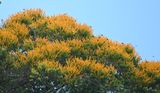 DSC_7576b.jpg