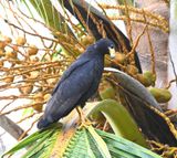 DSC_7598b.jpg