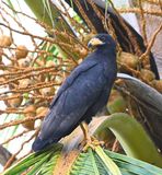 DSC_7605b.jpg