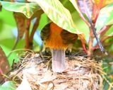 DSC_7633b.jpg