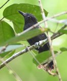DSC_7721b.jpg