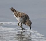 DSC_7856b.jpg
