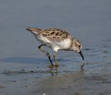DSC_7859b.jpg