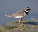 DSC_7865b.jpg