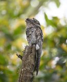 DSC_7872b.jpg