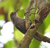 DSC_7879b.jpg