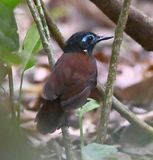 DSC_7908b.jpg