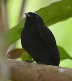 DSC_8048b.jpg