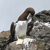 DSC_8120b.jpg