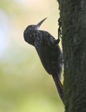 DSC_8189b.jpg
