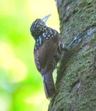 DSC_8198b.jpg