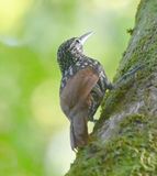 DSC_8216b.jpg