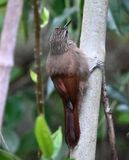 DSC_8223b.jpg