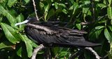 DSC_8249b.jpg