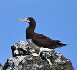 DSC_8300b.jpg