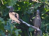 DSC_8339b.jpg