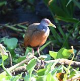 DSC_8917b.jpg