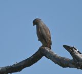 DSC_8926b.jpg