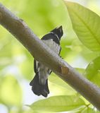 DSC_9038b.jpg