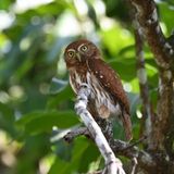 DSC_9077b.jpg