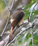 DSC_9218b.jpg