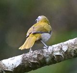 DSC_9266b.jpg