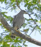 DSC_9582b.jpg