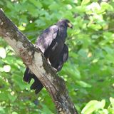 DSC_9752b.jpg