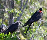 DSC_9835b.jpg