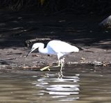 DSC_9855b.jpg