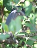 DSC_9873b.jpg