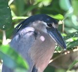 DSC_9878b.jpg
