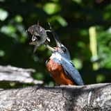 DSC_9895b.jpg