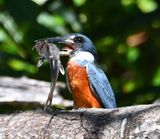 DSC_9896b.jpg