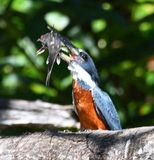 DSC_9897b.jpg