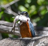 DSC_9912b.jpg