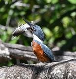 DSC_9918b.jpg