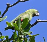 DSC_0006b.jpg