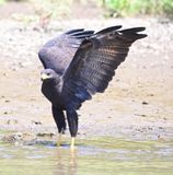 DSC_0148b.jpg