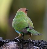 DSC_0220b.jpg
