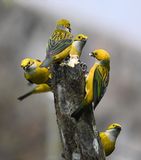DSC_0245b.jpg