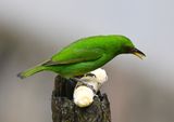 DSC_0280b.jpg