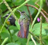 DSC_0402b.jpg