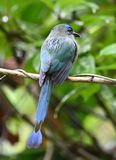 DSC_0560b.jpg