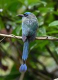 DSC_0570b.jpg