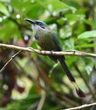 DSC_0578b.jpg