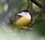 DSC_0651b.jpg